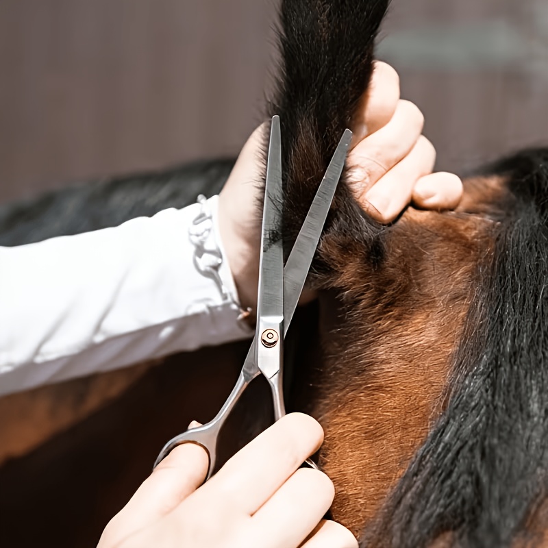 Set Peralatan Perawatan Kuda d - Grooming Kit Horse ulasan dan harga