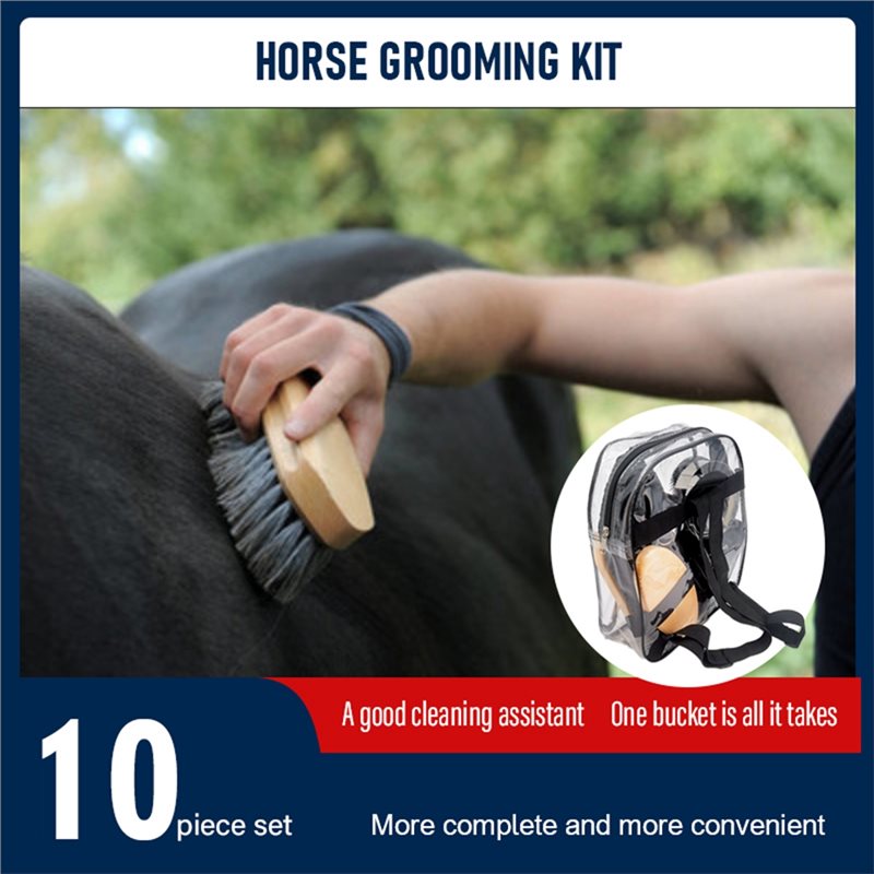 【SPESIAL】Perlengkapan Perawata - Grooming Kit Horse ulasan dan harga