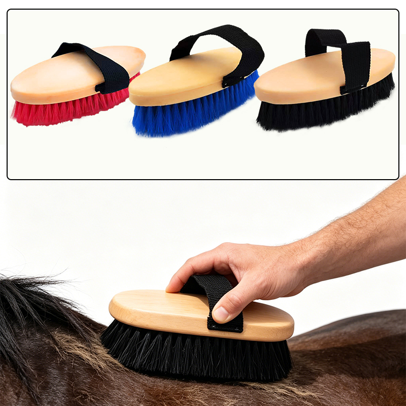 Sikat Perawatan Kuda Elips den - Grooming Kit Horse ulasan dan harga
